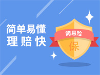 簡易險